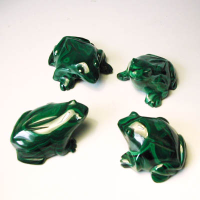 Malachite Frog 4-5 cm