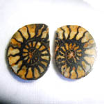 Hematite Ammonite Pair 2-3 cm