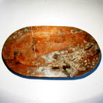 Fossil orthoceras Platter 30 x 45 cm