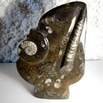 Sculptured Ammonites and Orthoceras Tower