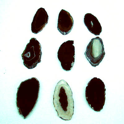 Black Agate Slab 4 - 5 cm