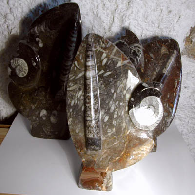 Sculptured Ammonites and Orthoceras Tower