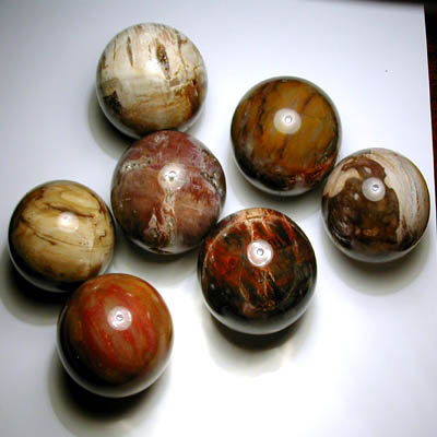 Petrified Wood Ball 5 cm