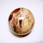 Petrified Wood Ball 5 cm