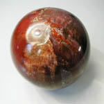 Petrified Wood Ball 7 cm